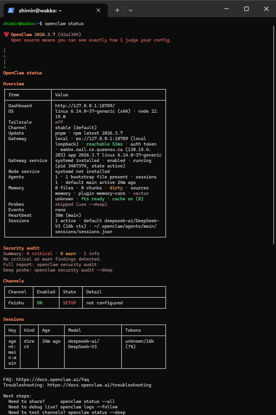 openclaw status 输出
